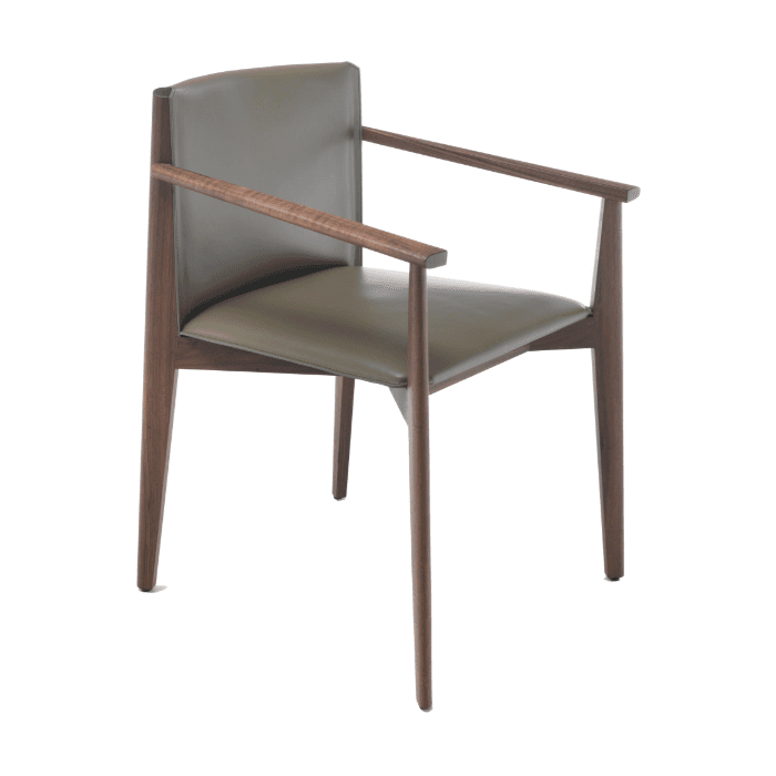 Ionis Dining Chair